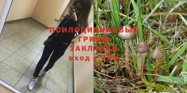 apvp Нефтегорск