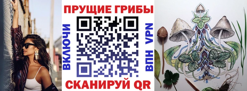 Галлюциногенные грибы Psilocybine cubensis  Циолковский 