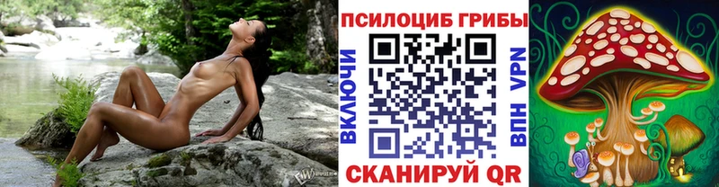 Псилоцибиновые грибы Psilocybine cubensis Циолковский