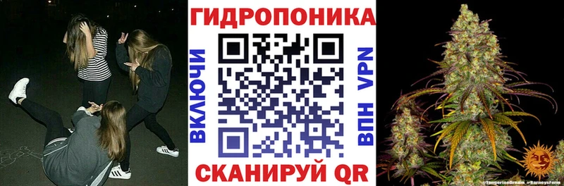 как найти   Циолковский  блэк спрут ссылка  Марихуана сатива 
